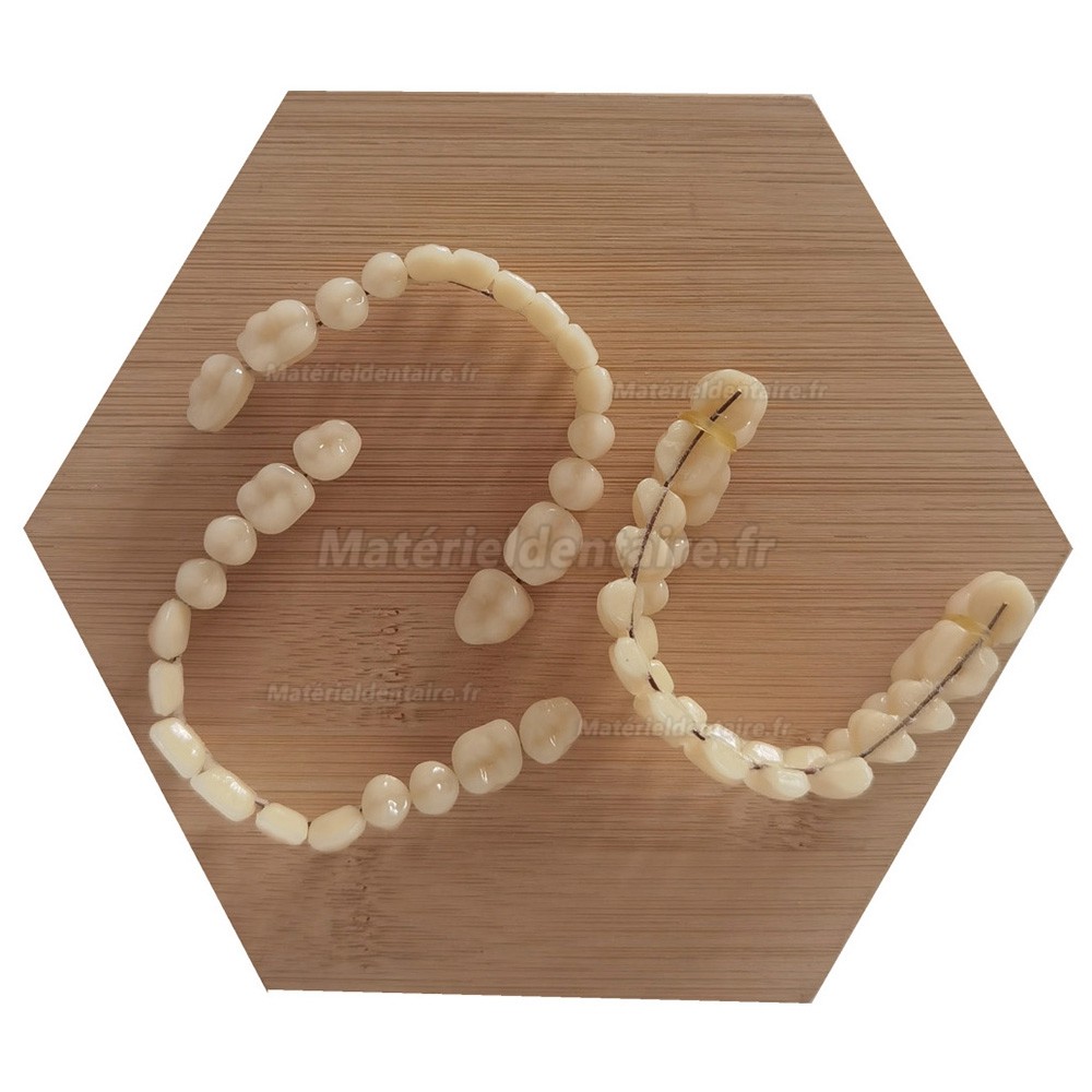 Prothèses dentaires en résine CAIYU (flexibles, bilatérales et symétriques) A1/A2/A3/A3.5/A4